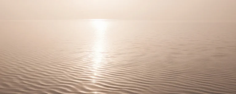 Wellness With Allie X Adelaide